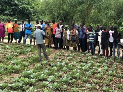26. farmers touring a notill cabbage field (1)