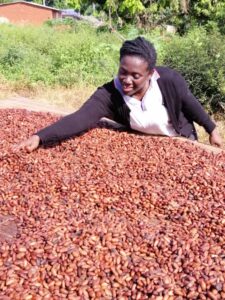 3 Louise Topé at cocoa drying table