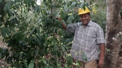 Farmer Led Ag in MX