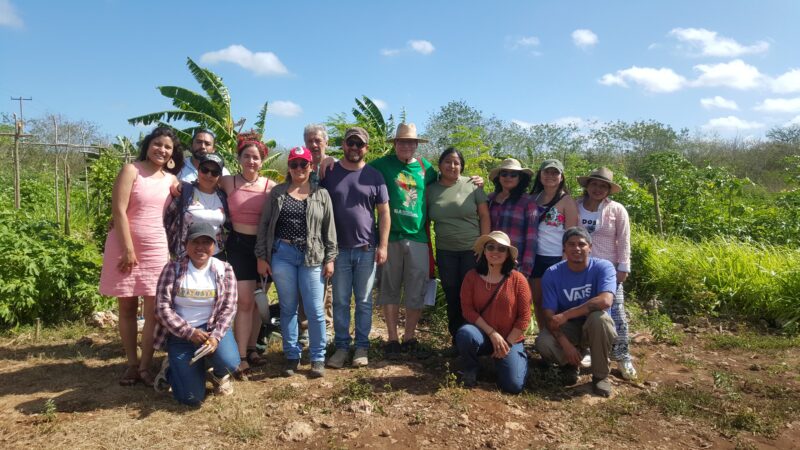 ECOSUR students stand and kneel amongst dirt and palm fronds