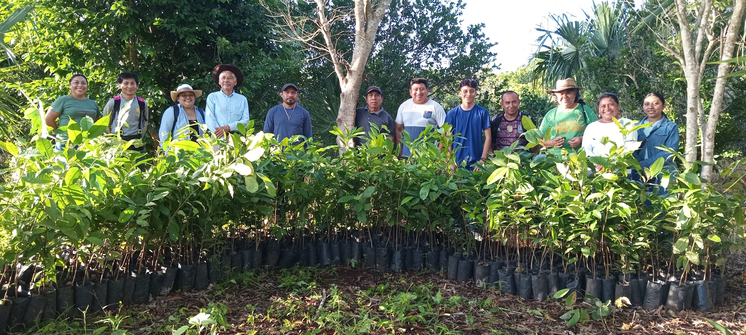 Farmers of various ages standing in front of saplings