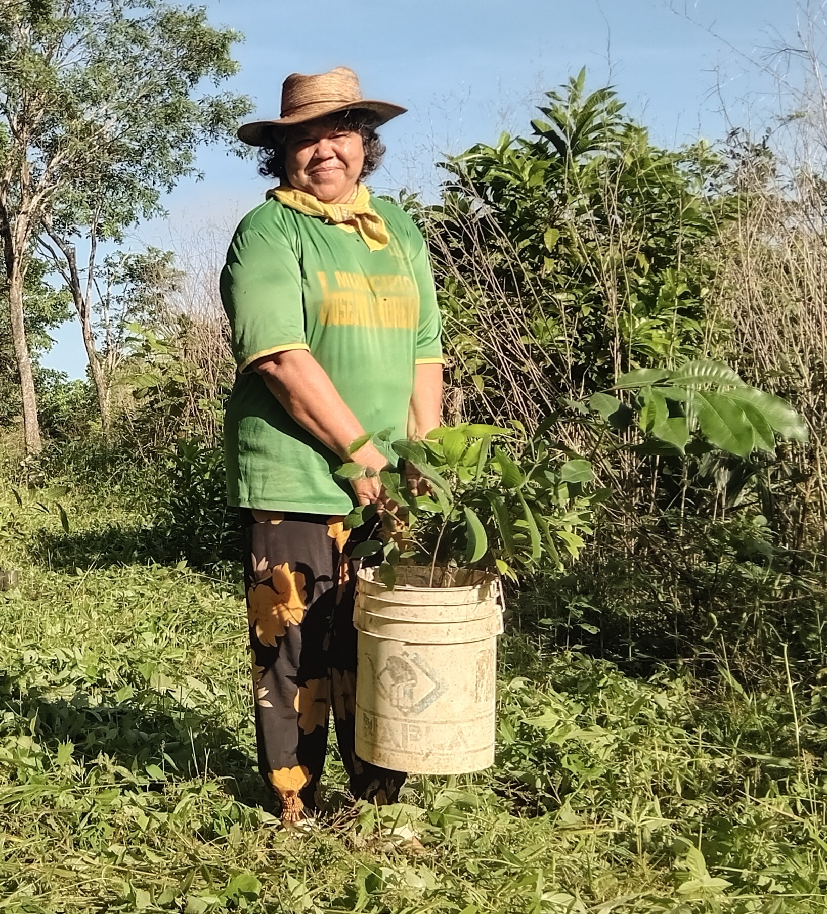 Farmer standing holding a bucket full of saplings ready to be planted.