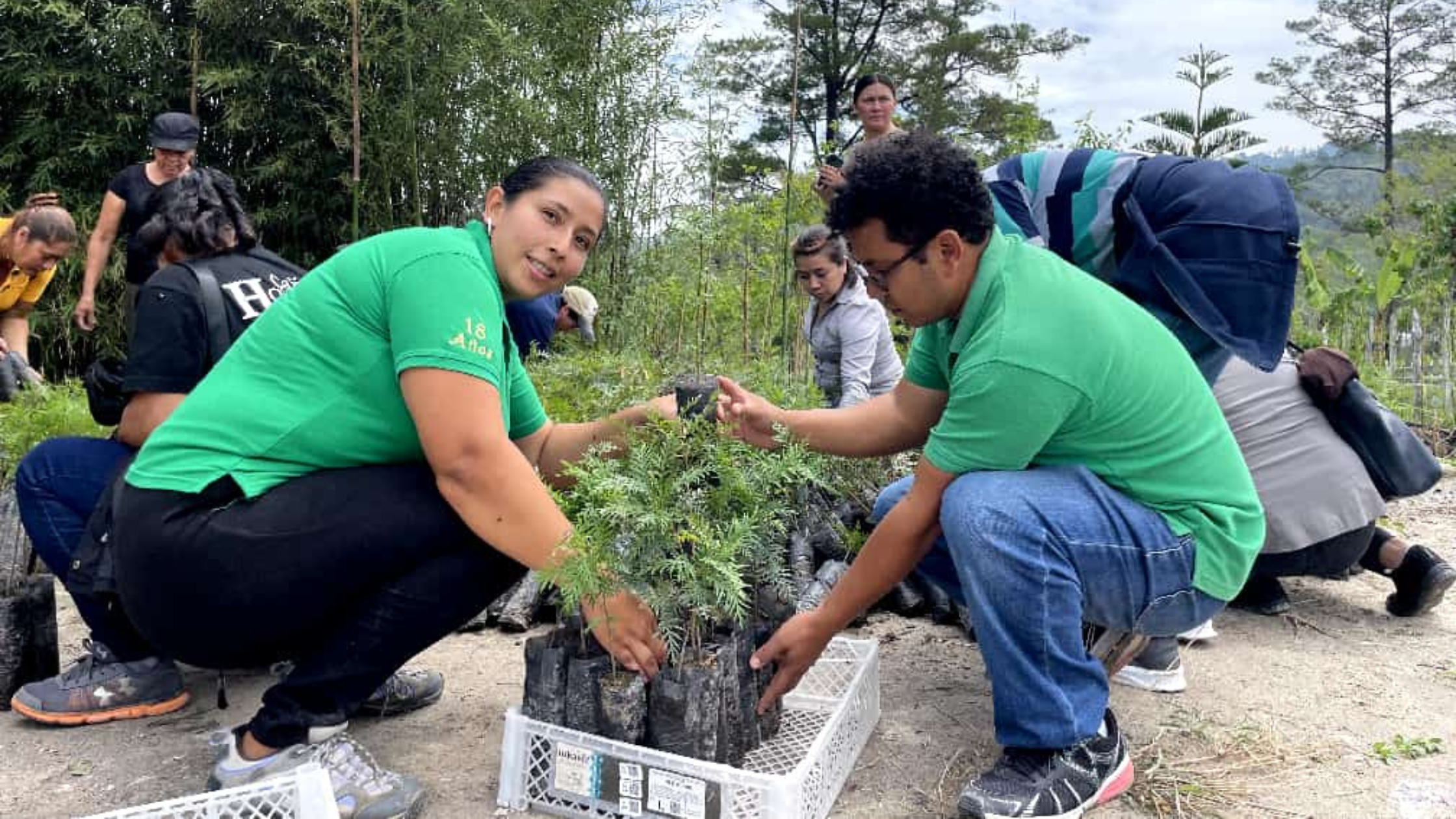 Past COMSA Project - SCA Blog A man and woman in green t-shirts removing small plants from a box.