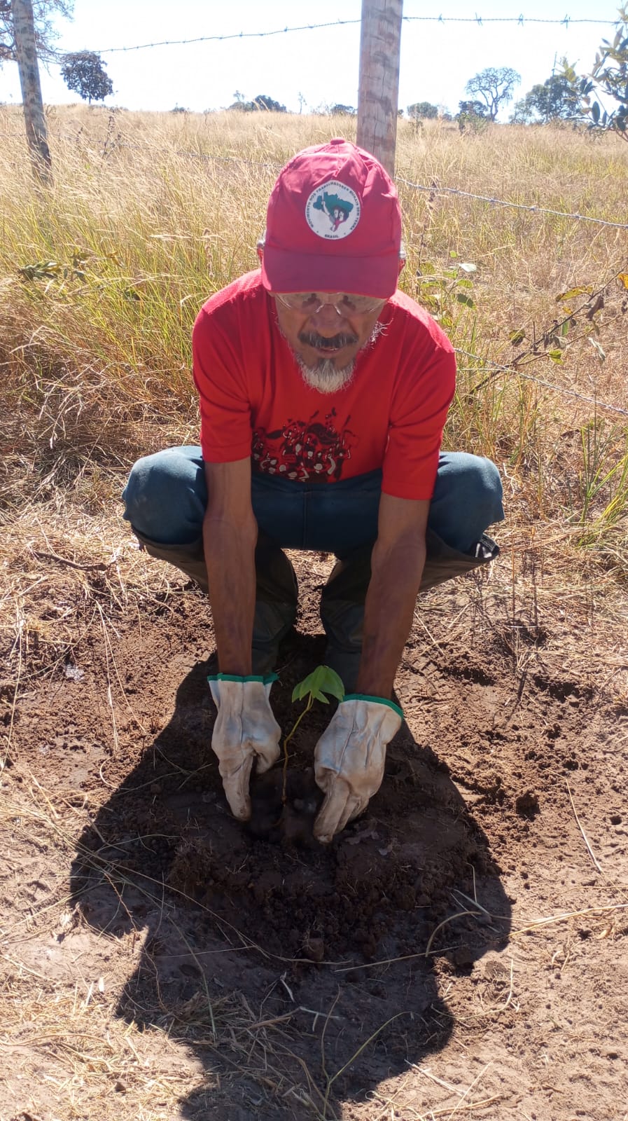 farmer in red shirt planting seedling into dirt