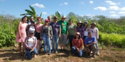 ECOSUR students stand and kneel amongst dirt and palm fronds