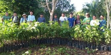 Farmers of various ages standing in front of saplings