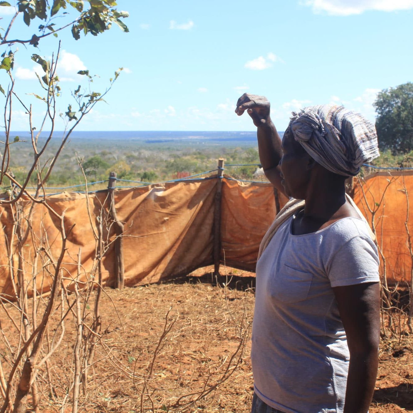 These enclosures need to be multiplied to make the life of women easy while building up resilience in soils These enclosures need to be multiplied to make the life of women easy while building up resilience in soils