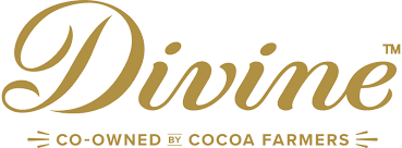 logo divine choco